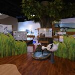 예산 황새공원 황새 문화관