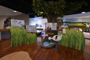 예산 황새공원 황새 문화관