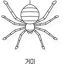 Sketch_곤충_거미