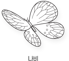 Sketch_곤충_나비