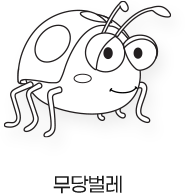 Sketch_곤충_무당벌레
