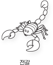 Sketch_곤충_전갈