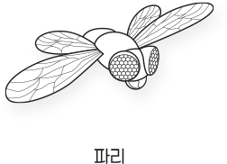 Sketch_곤충_파리