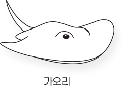 Sketch_바다_가오리