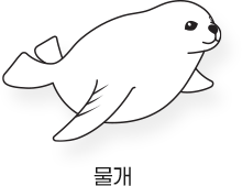 Sketch_바다_물개