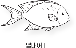 Sketch_바다_열대어1