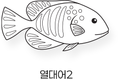 Sketch_바다_열대어2